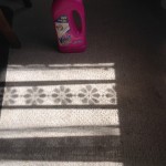 Clean carpet (from food marks)