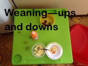 weaning-ups-and-downs