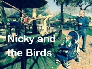 toddler-at-montecasion-bird-gardens