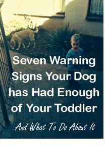 seven-warning-signs-dog-and-toddler-what-to-do