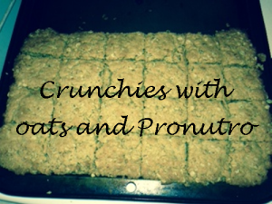 crunchies-with-oats-and-pronutro