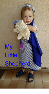 my-little-shepherd
