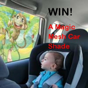 win-car-shade