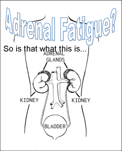 adrenal-fatigue