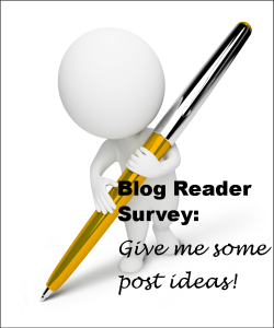 blog reader survey
