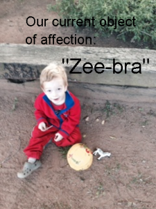 toddlers have objects of affection - my child likes a zebra at the moment.