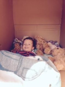 bears-in-box-bed