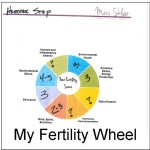 my fertility wheel results