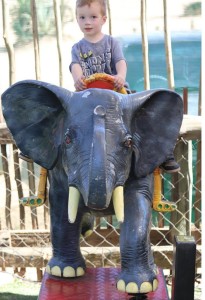 child riding mechanical elephant