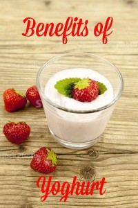 benefits of yoghurt-and-facts