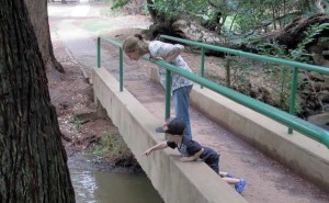 looking-for-pooh-sticks