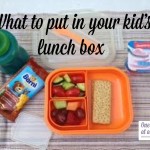 What to Put in Your Kid’s Lunch Box