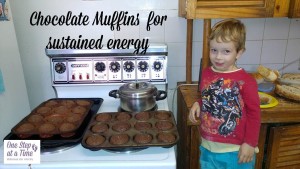 chocolate muffins sustained energy 2