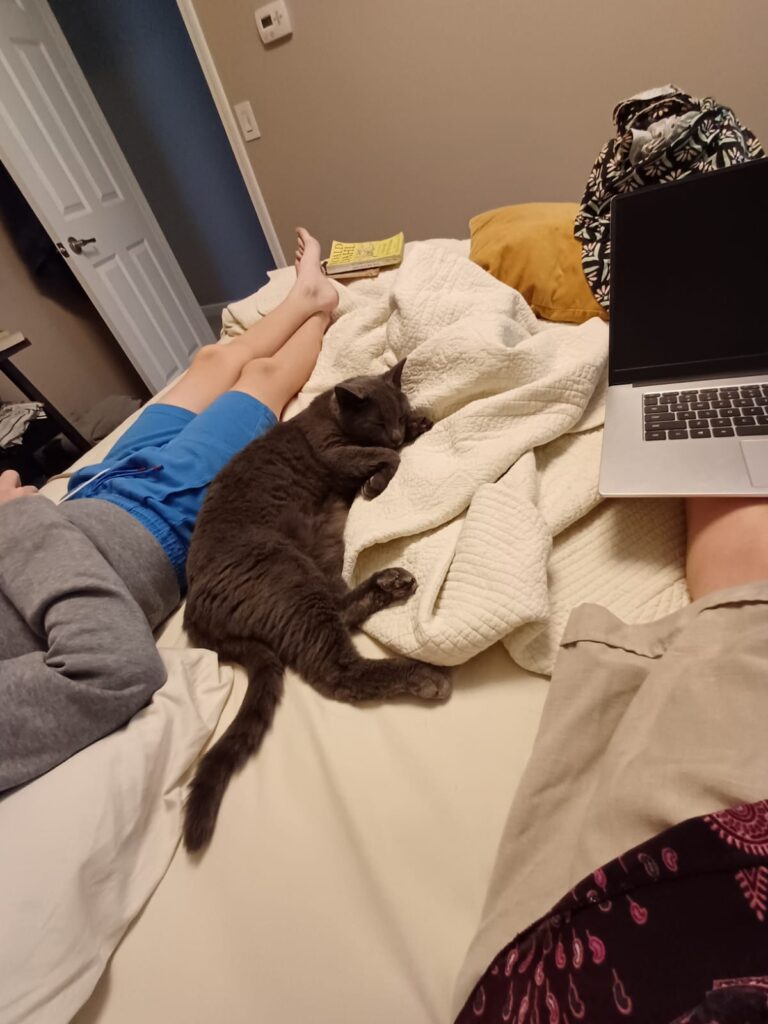 on the bed with smoky grey cat